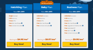 Top Web Hosting Hostgator